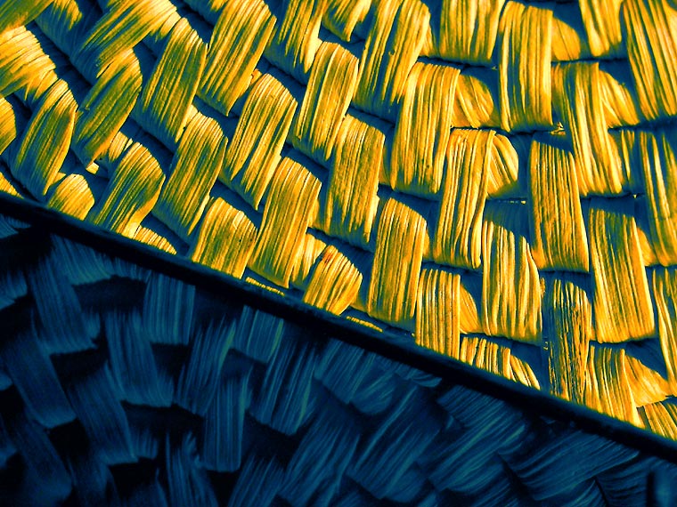 Natural / Artificial