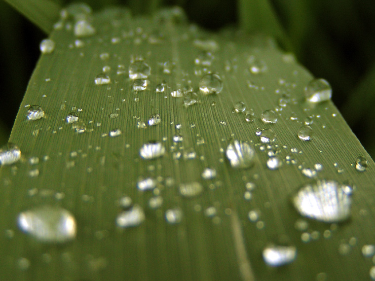 After the rain