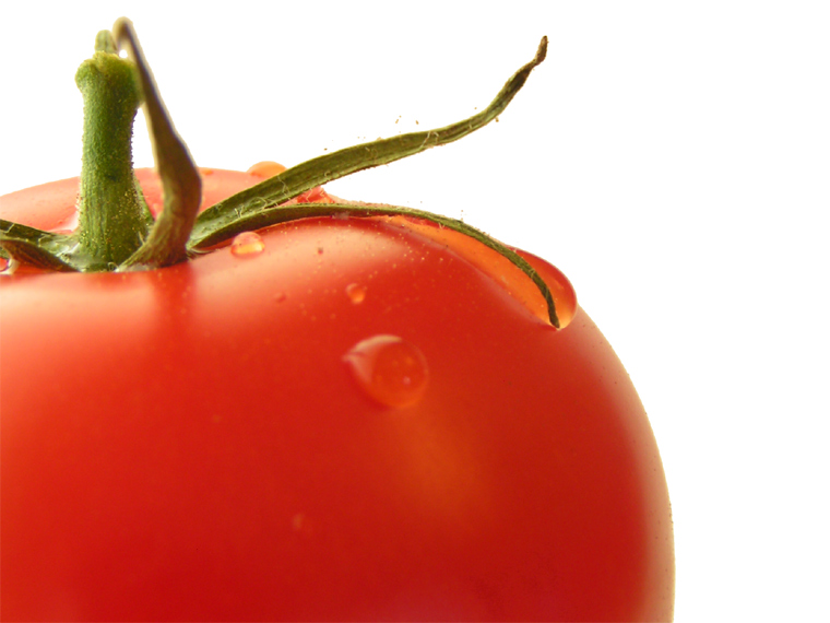 Solanum lycopersicum