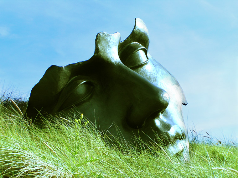 Moonlight in the sun