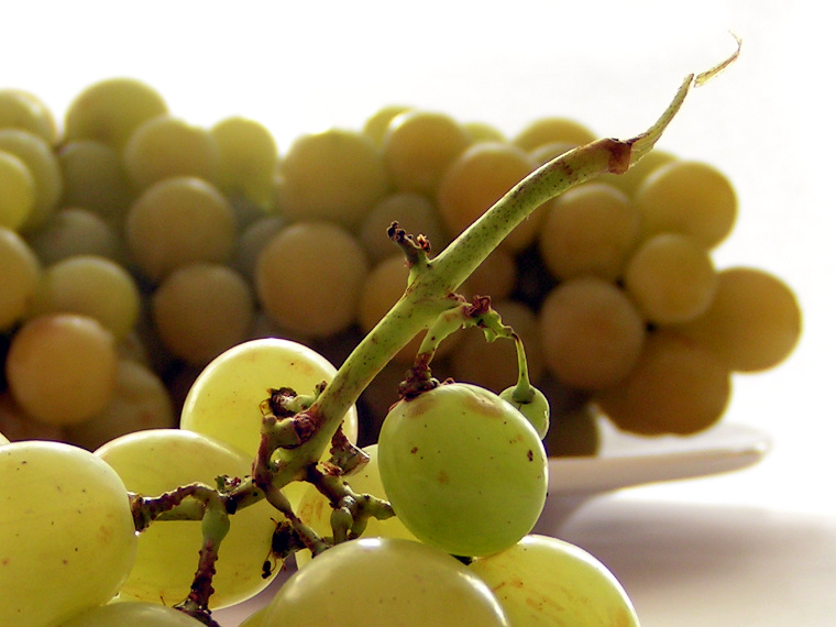 Grapes