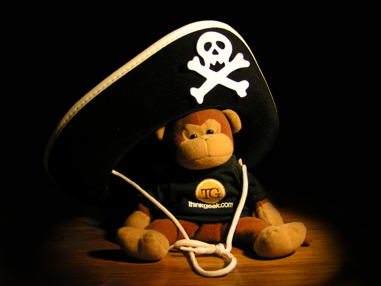 Timmy talks like a pirate