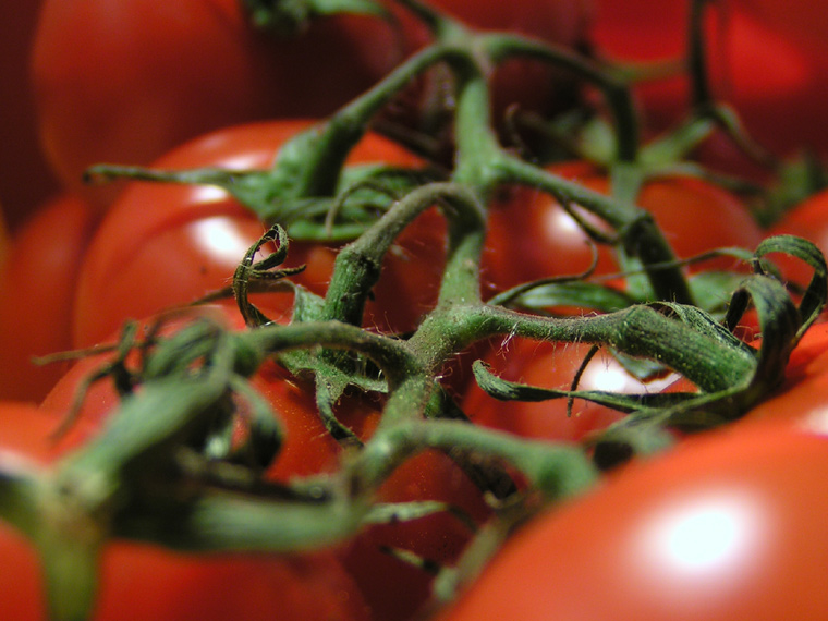 Tomatoes