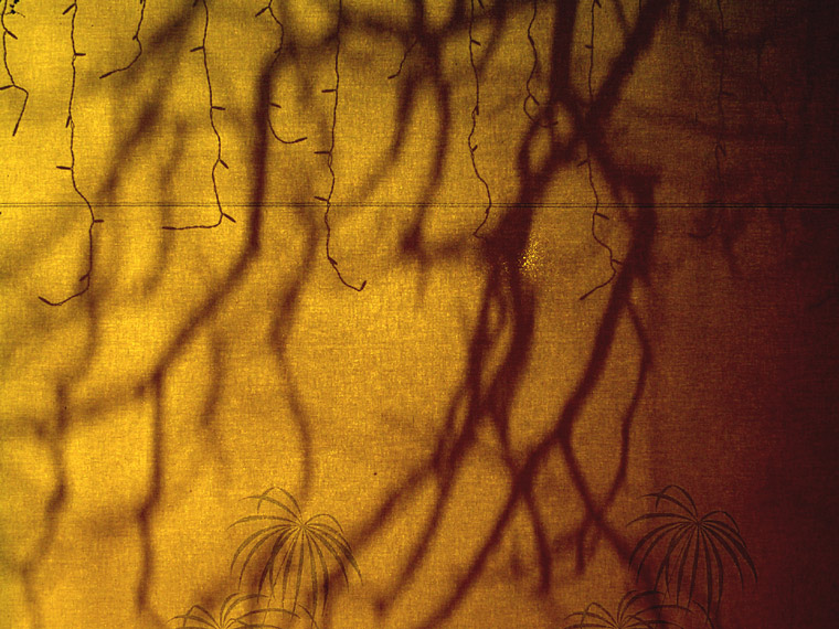 Tree & Christmas lights