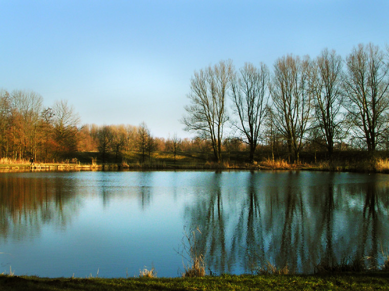 Sunny afternoon