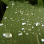 20090611