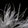 20090618