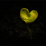 20090628