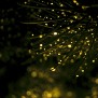 20090718