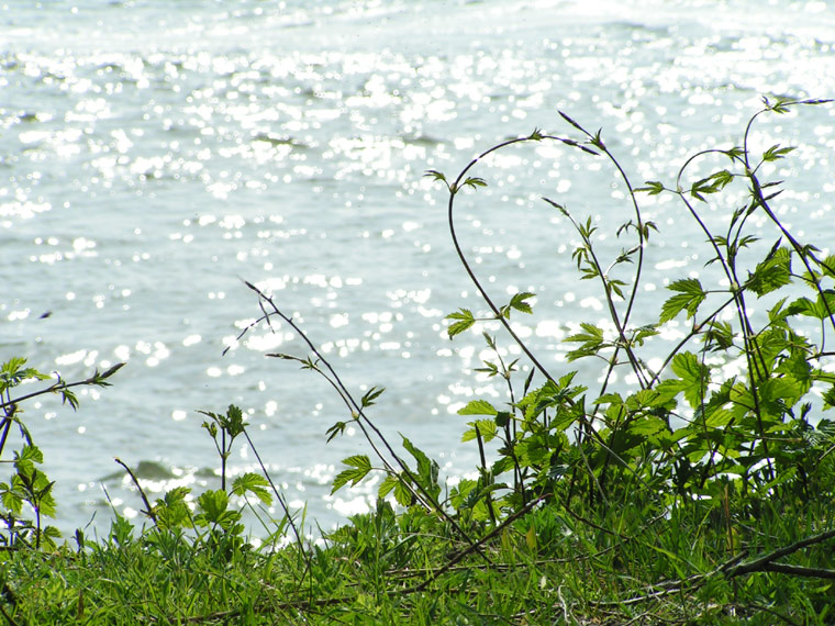 Riverside