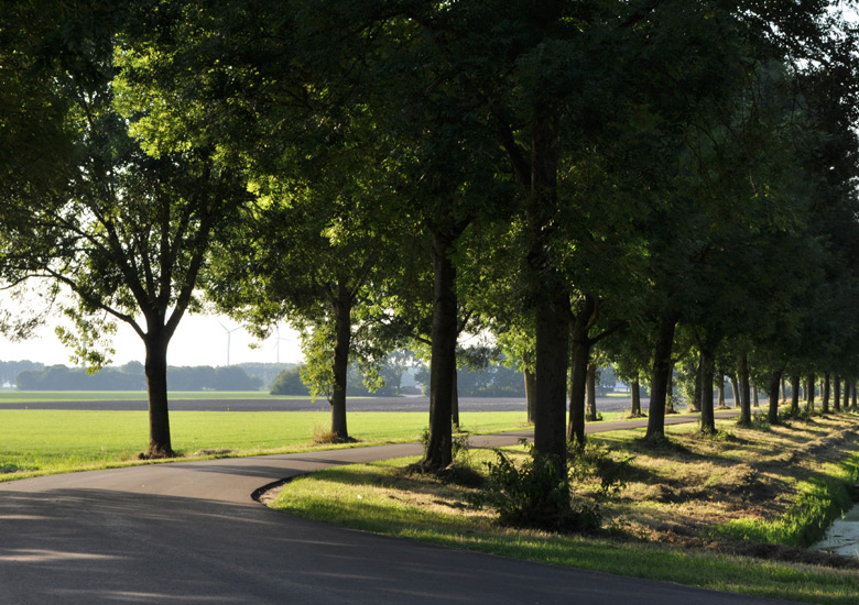 Somewhere along the Erkemederweg, Zeewolde, NL