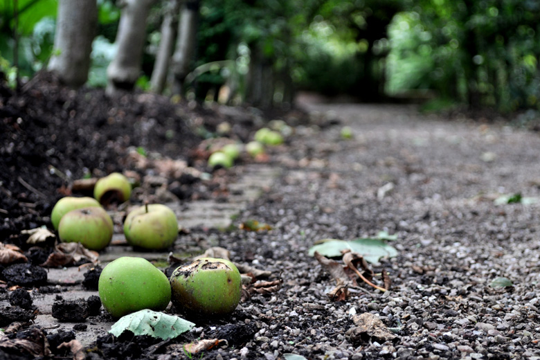 Norton Priory, Runcorn, UK