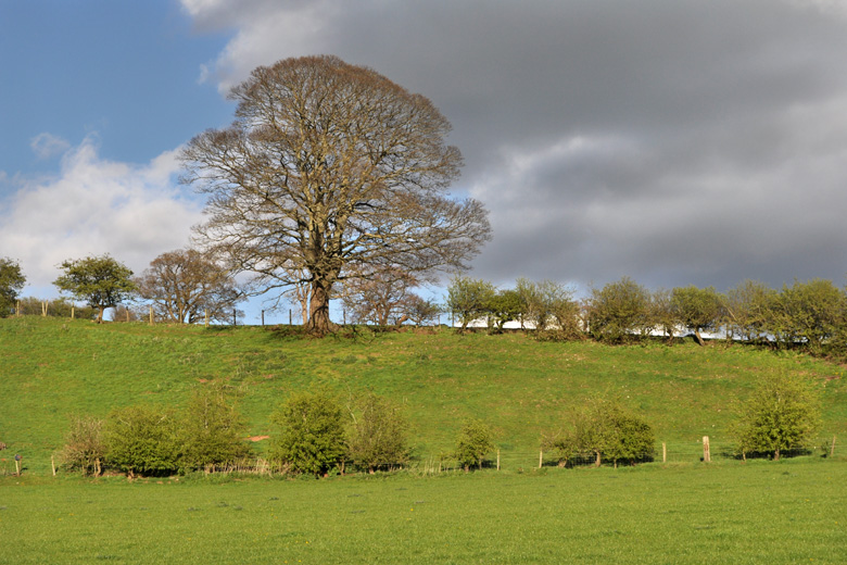 Little Salkeld, near Penrith, Cumbria UK