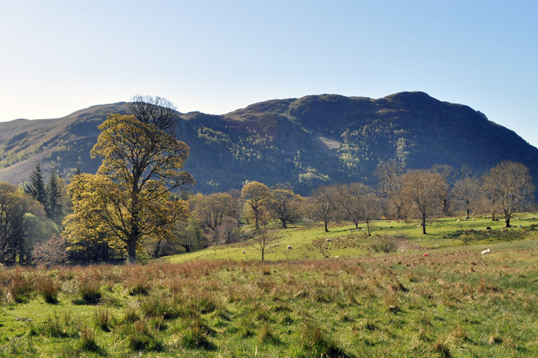 Near Aira Force, Ullswater, Cumbria, UK